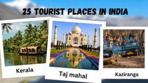 Read more about the article 25 Tourist Places in India: Best of Incredible India