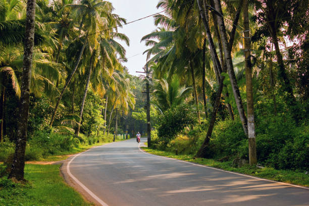 Goa road
