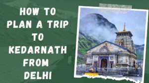 Read more about the article How to Plan a Trip to Kedarnath from Delhi in 2024