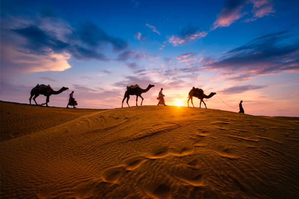 Rajasthan Camel safari